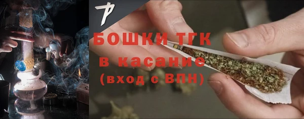 прущие грибы Заволжье
