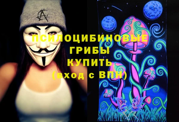 прущие грибы Заволжье