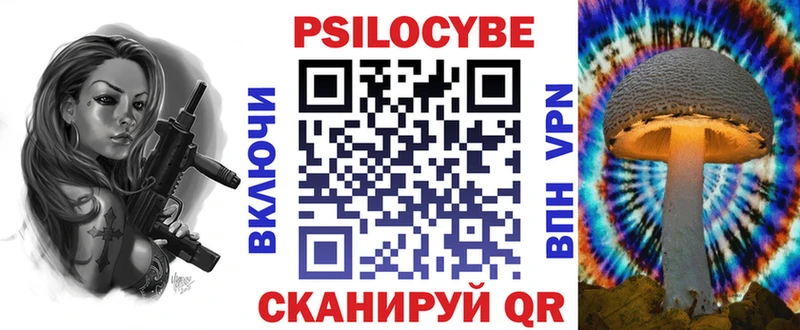 купить  цена  Каргат  Псилоцибиновые грибы мухоморы 